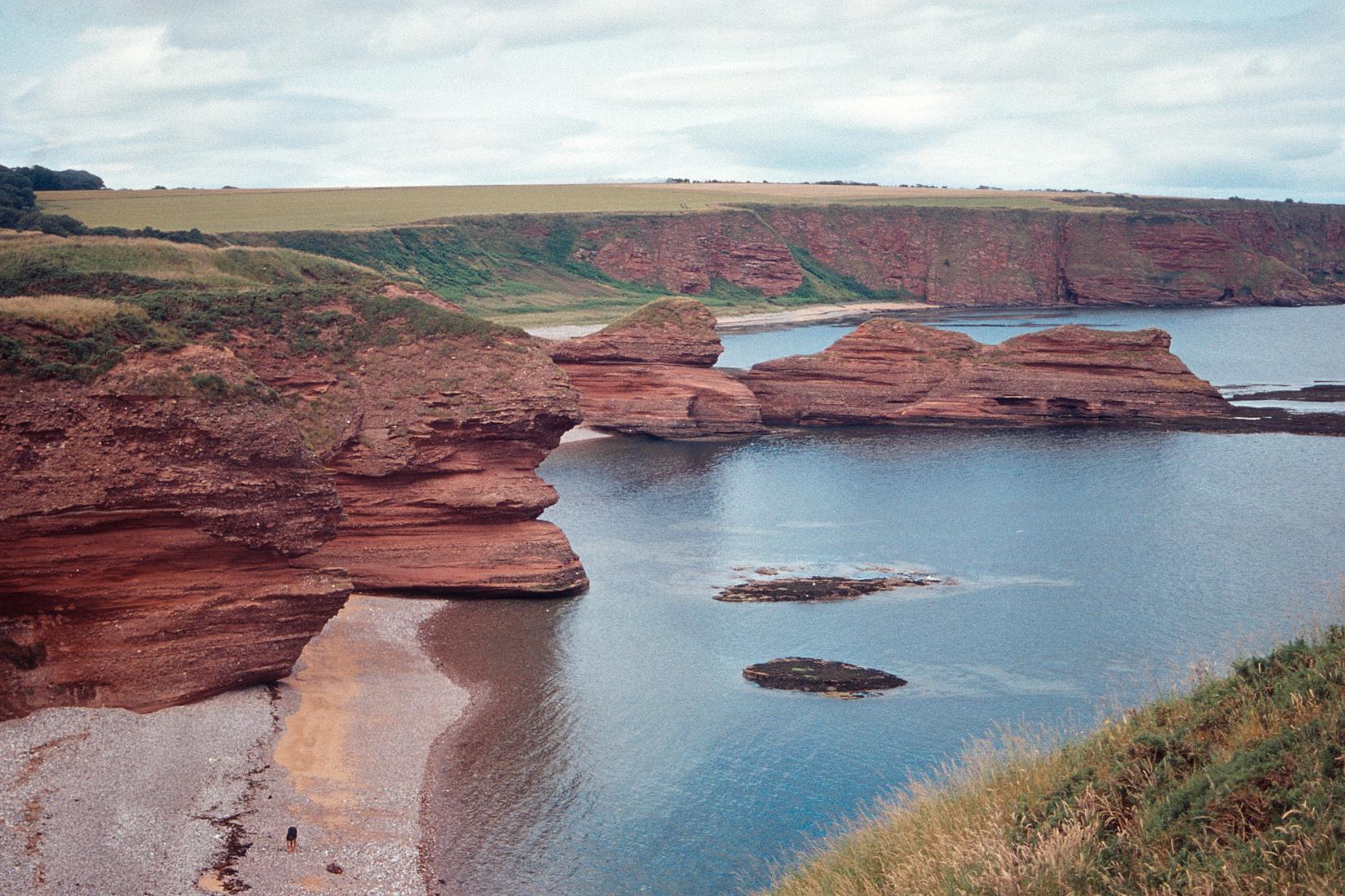 Sandee - Arbroath Beach