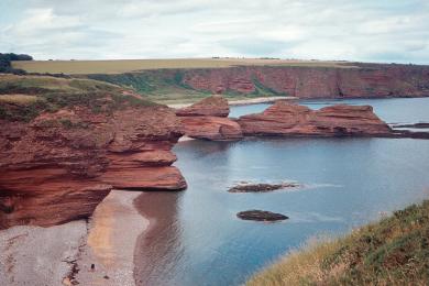 Sandee Arbroath Beach Photo