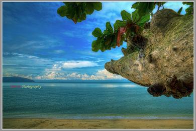 Sandee Teluk Senangin Beach Photo