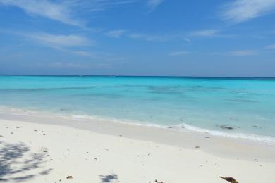 Sandee - Mantanani Island Beach