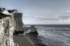 Sandee - Seaford Bay Beach