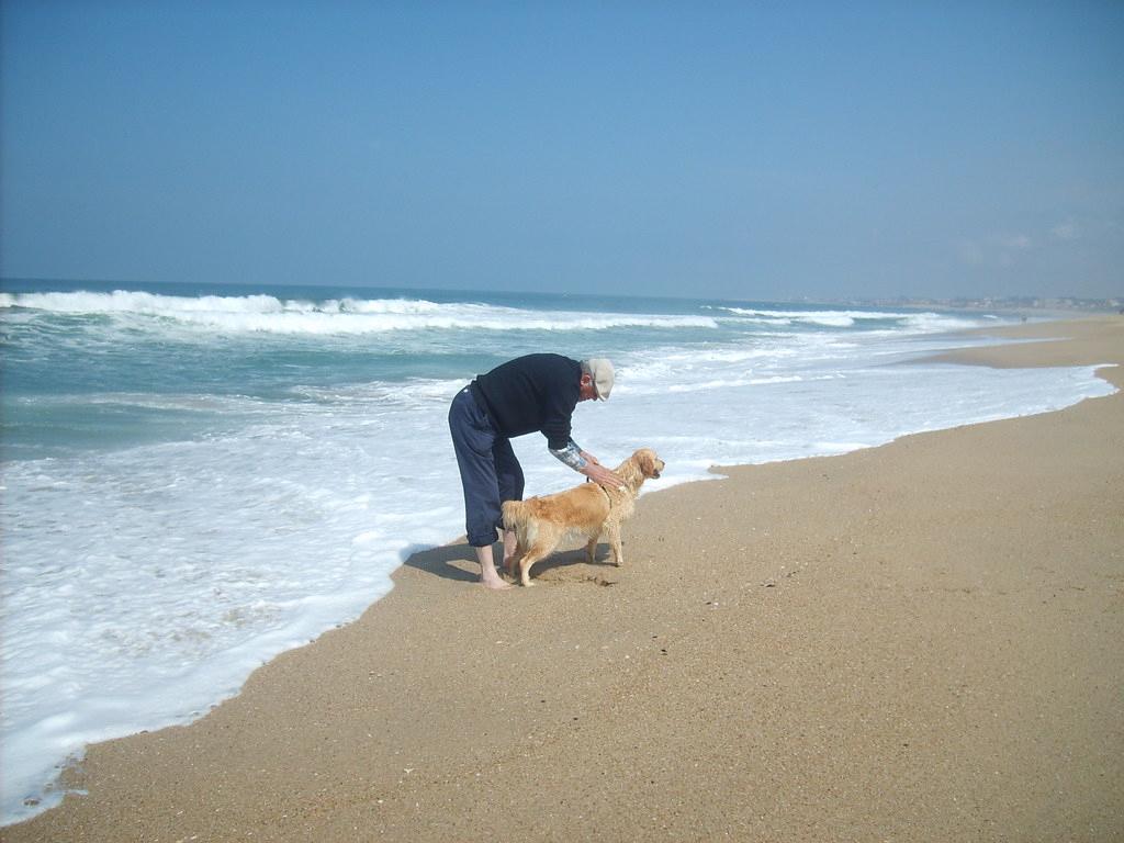 Sandee - Praia Da Baia