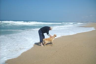 Sandee - Praia Da Baia