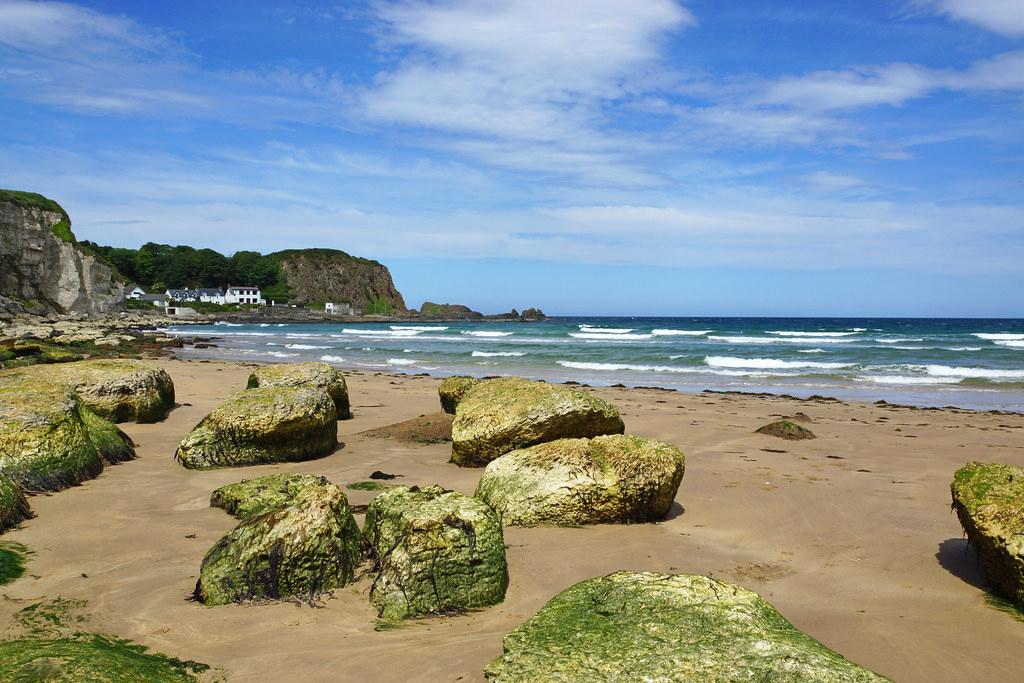 Sandee - White Park Bay Beach