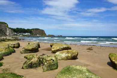 Sandee - White Park Bay Beach