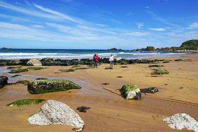 Sandee - White Park Bay Beach