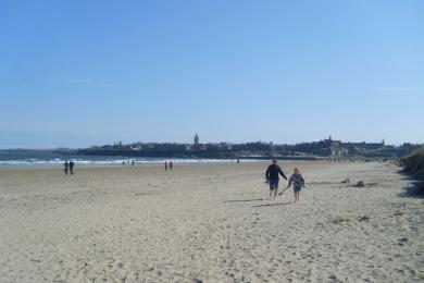 Sandee St Andrews West Sands Beach