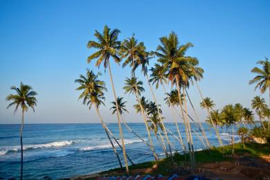 Sandee - Unawatuna Beach