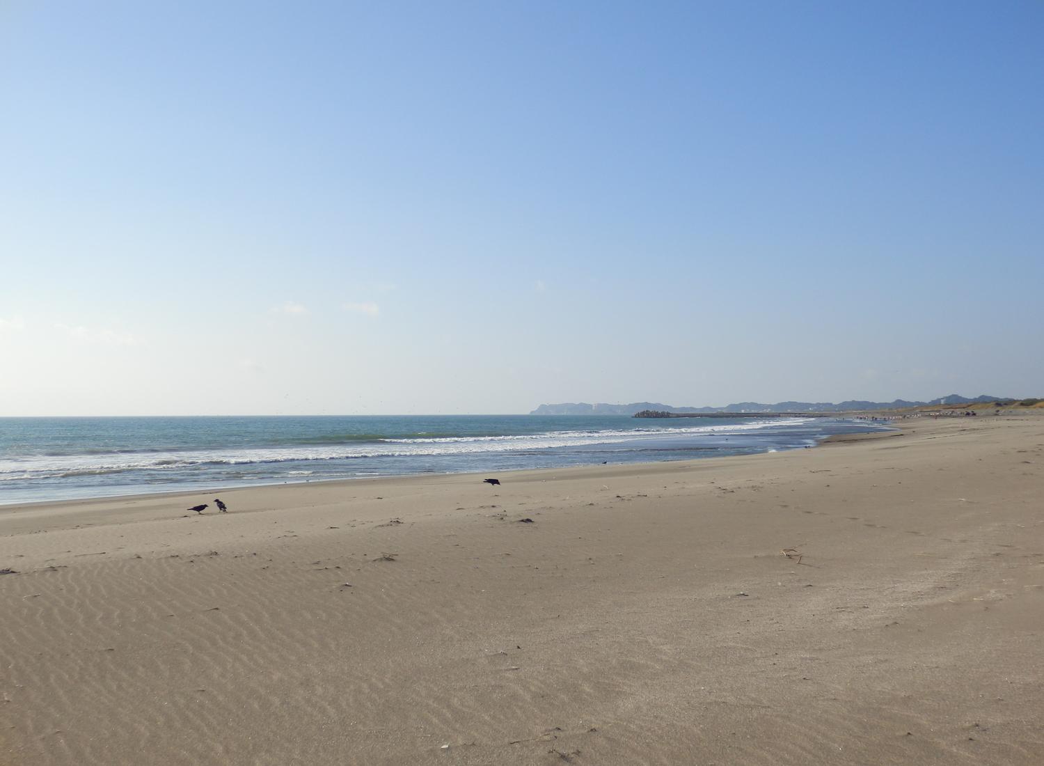 Sandee - Ichinomiya Beach