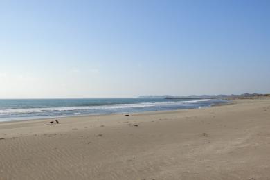 Sandee Ichinomiya Beach Photo