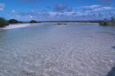 Sandee Ascension Bay