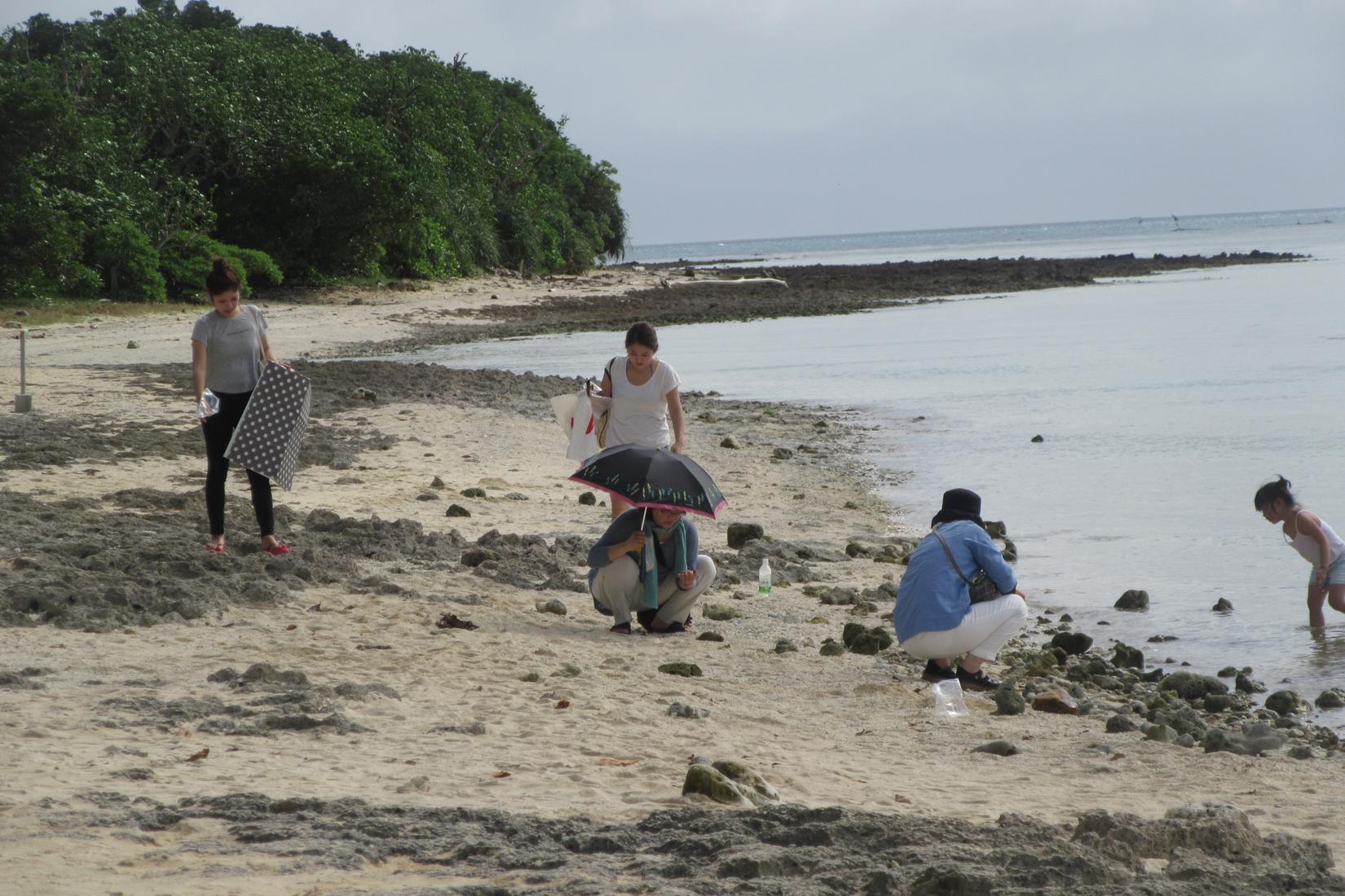 Sandee - Kaiji Beach