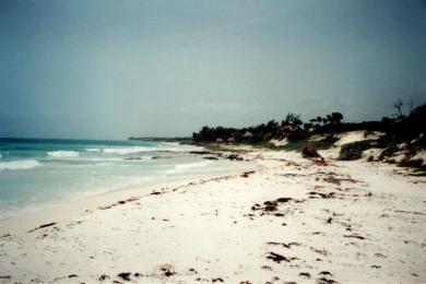 Sandee - Reserva Tulum