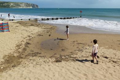 Sandee - Swanage Bay Beach