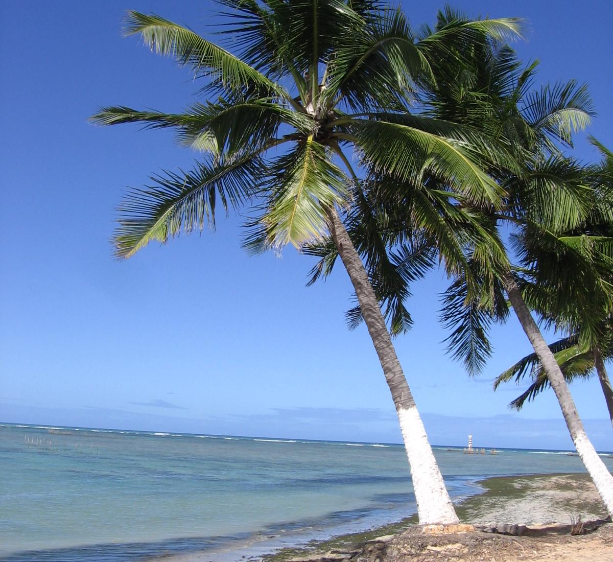 Sandee - Praia De Ponta Verde