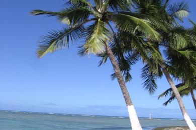 Sandee - Praia De Ponta Verde