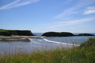 Sandee - Annestown Beach