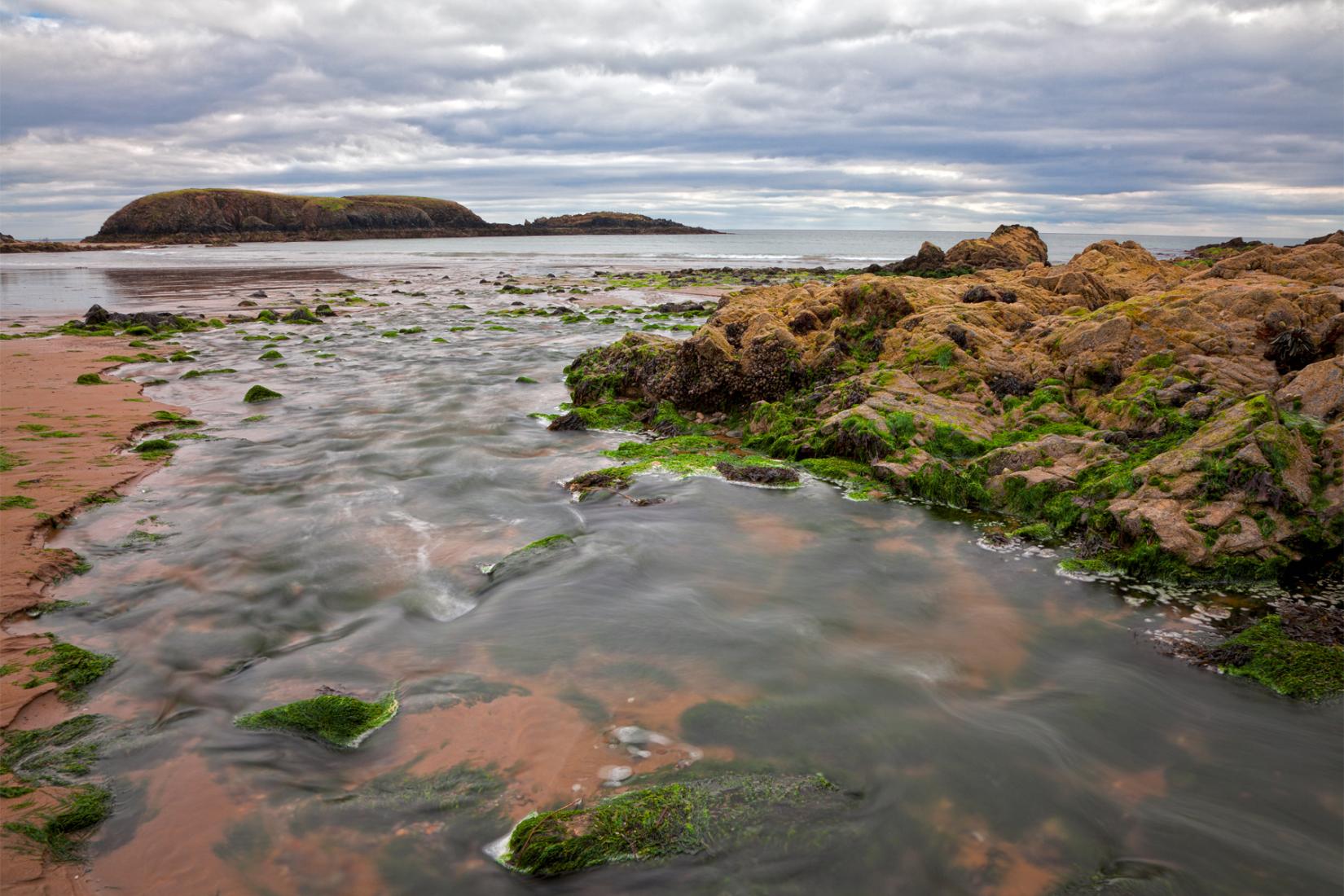 Sandee - Annestown Beach