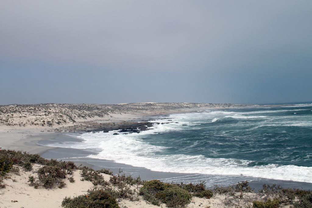 Sandee - Namaqua National Park Beach