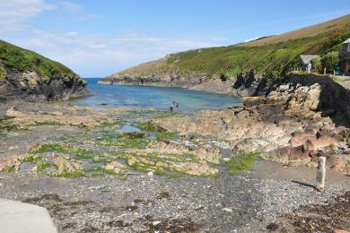 Sandee Port Quin Beach Photo