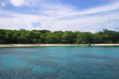 Sandee Bando Beach