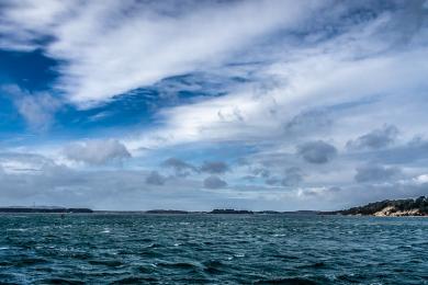 Sandee Harbour Sandbanks Beach Photo