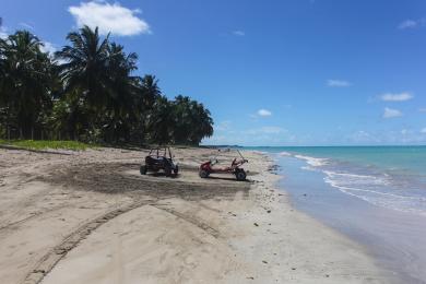 Sandee Praia Peroba
