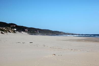 Sandee Oyster Bay Beach