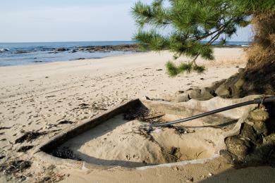 Sandee Kotohiki Beach Photo