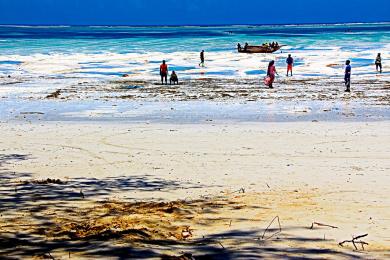 Sandee - Zanzibar Beach