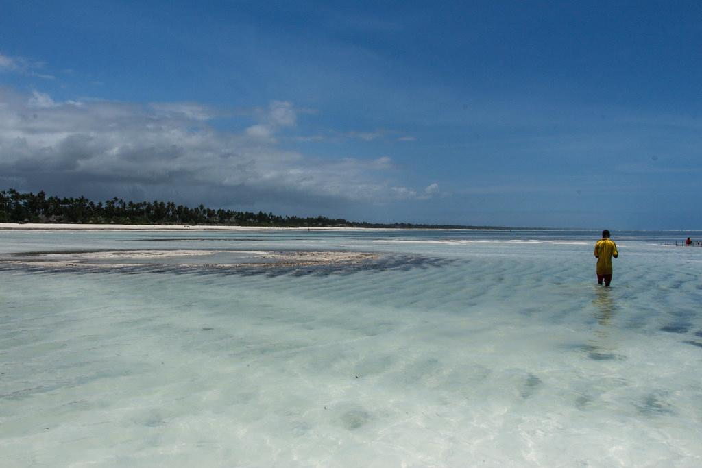 Sandee - Zanzibar Beach