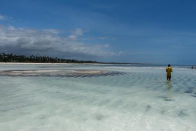 Sandee - Zanzibar Beach