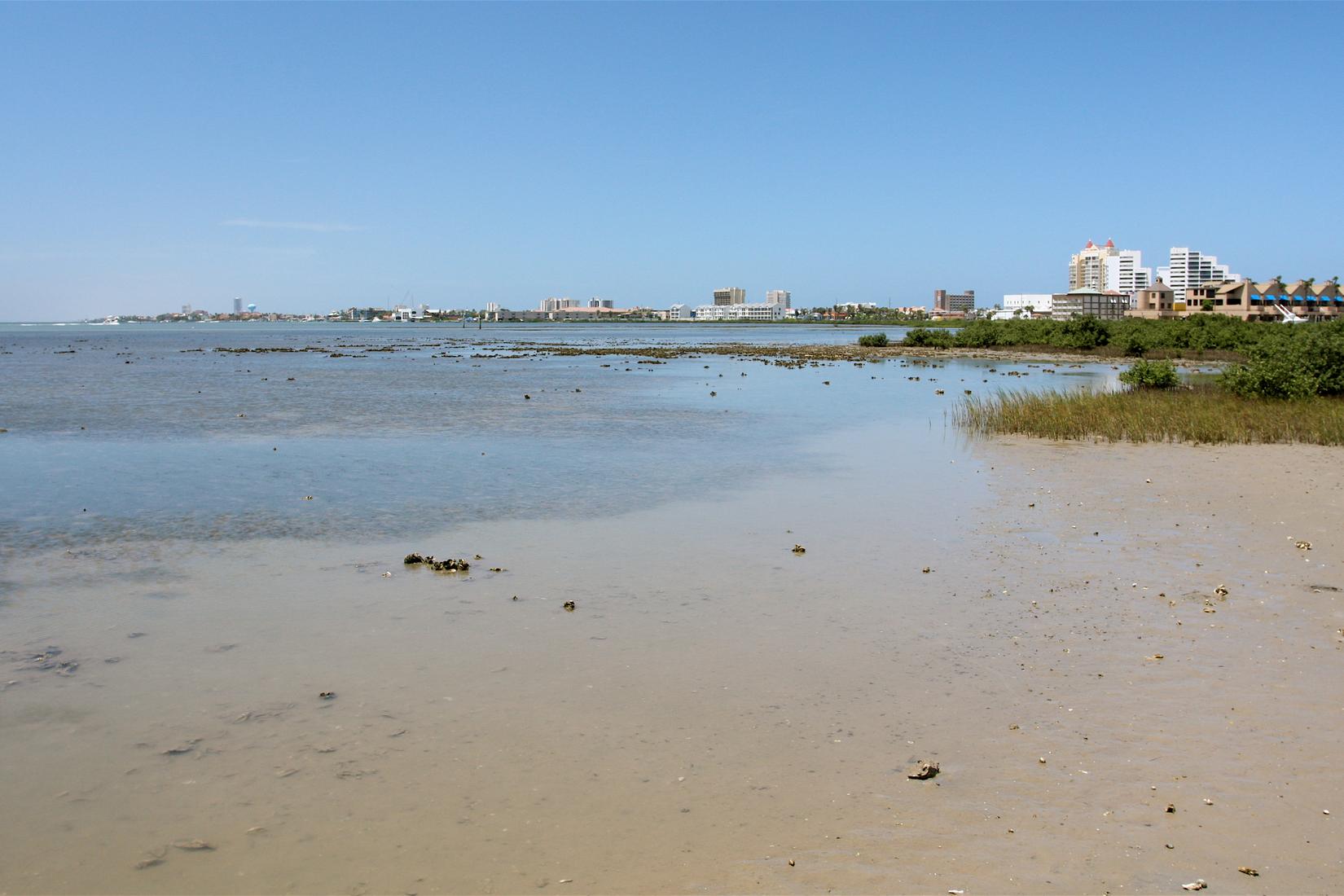 Sandee - Laguna Madre Y Delta Del Rio Bravo