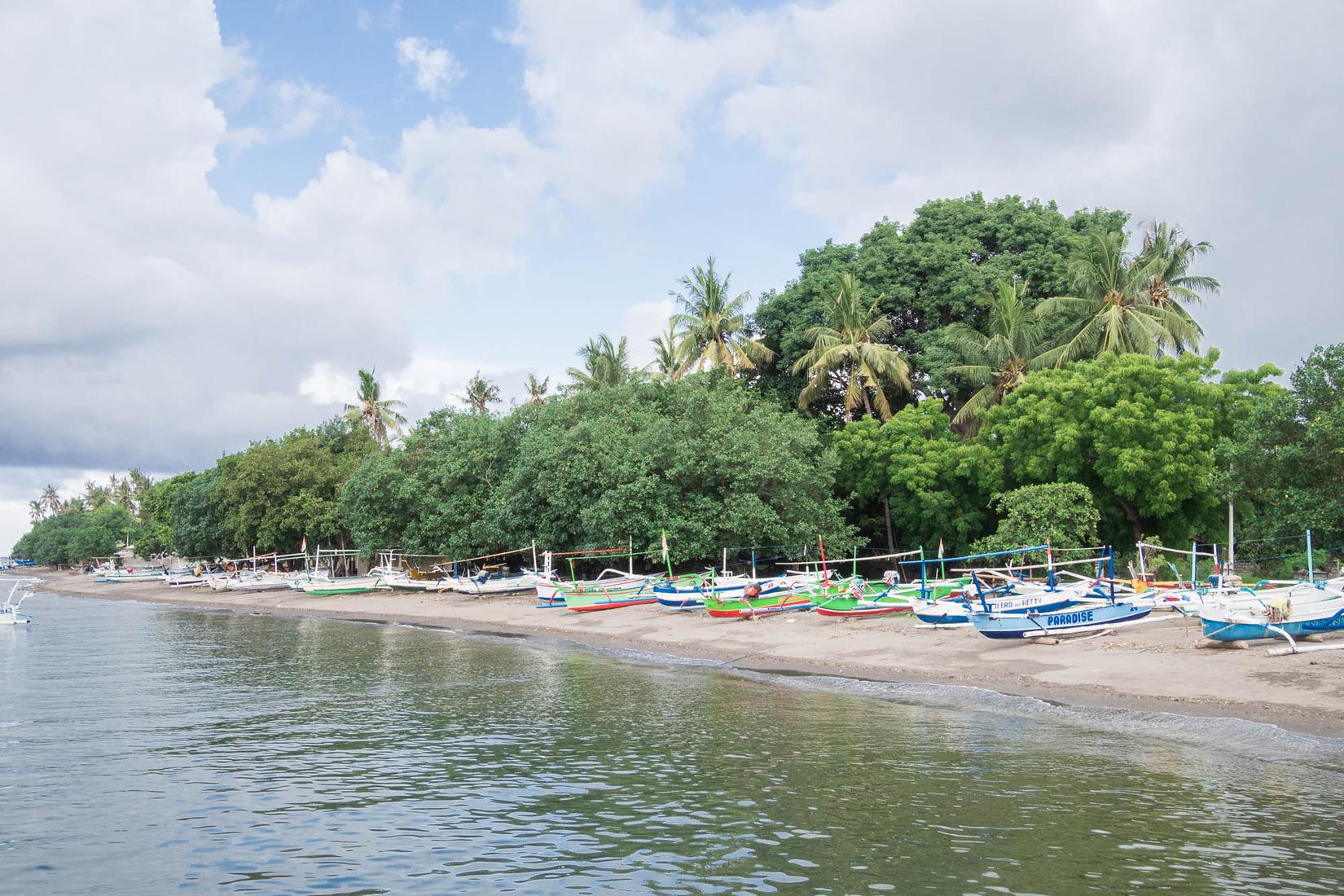 Sandee - Lovina Beach