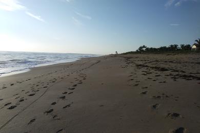 Sandee - Bathtub Reef Beach