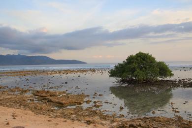 Sandee Gili Trawangan Photo