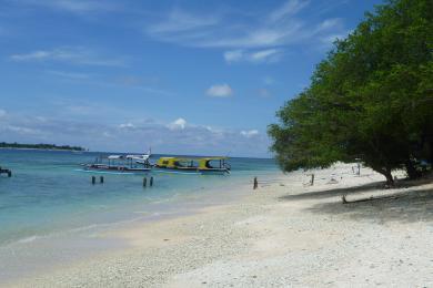 Sandee - Gili Meno Island