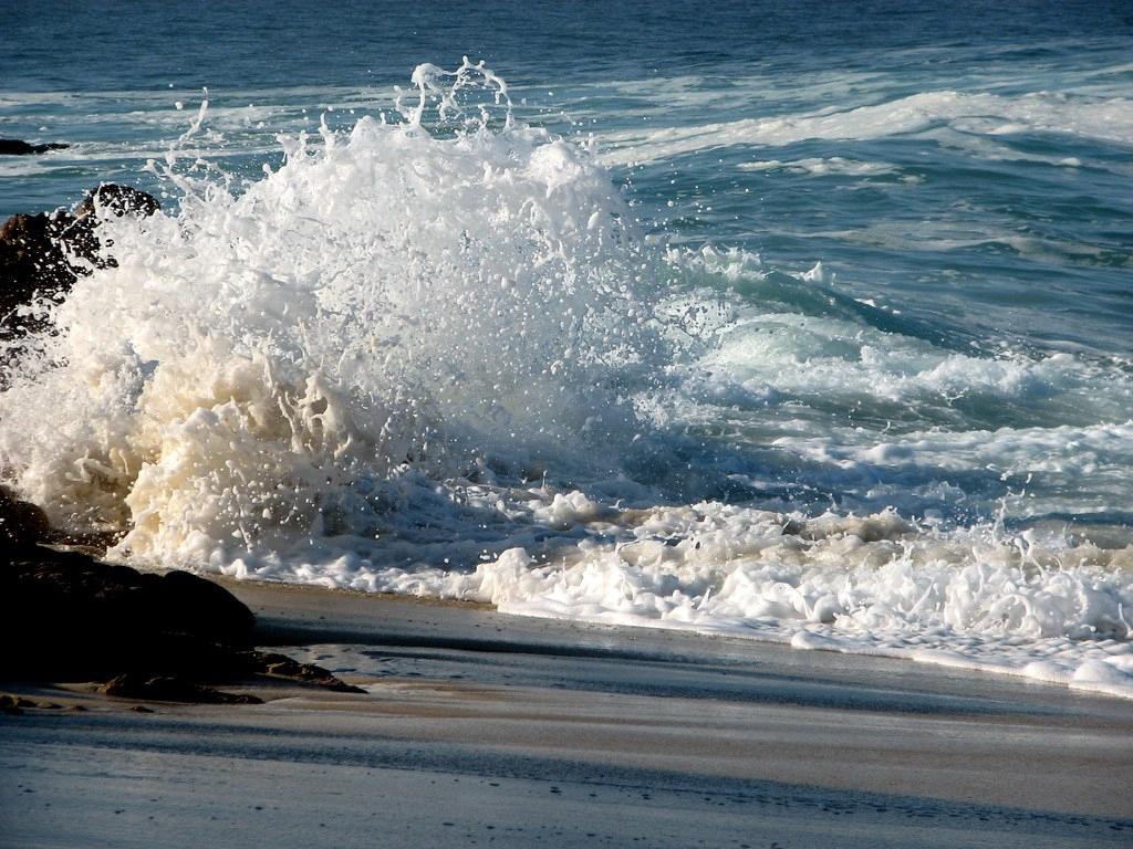 Sandee - Playa Las Palmas, San Jose Del Cabo