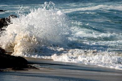 Sandee Playa Las Palmas, San Jose Del Cabo Photo