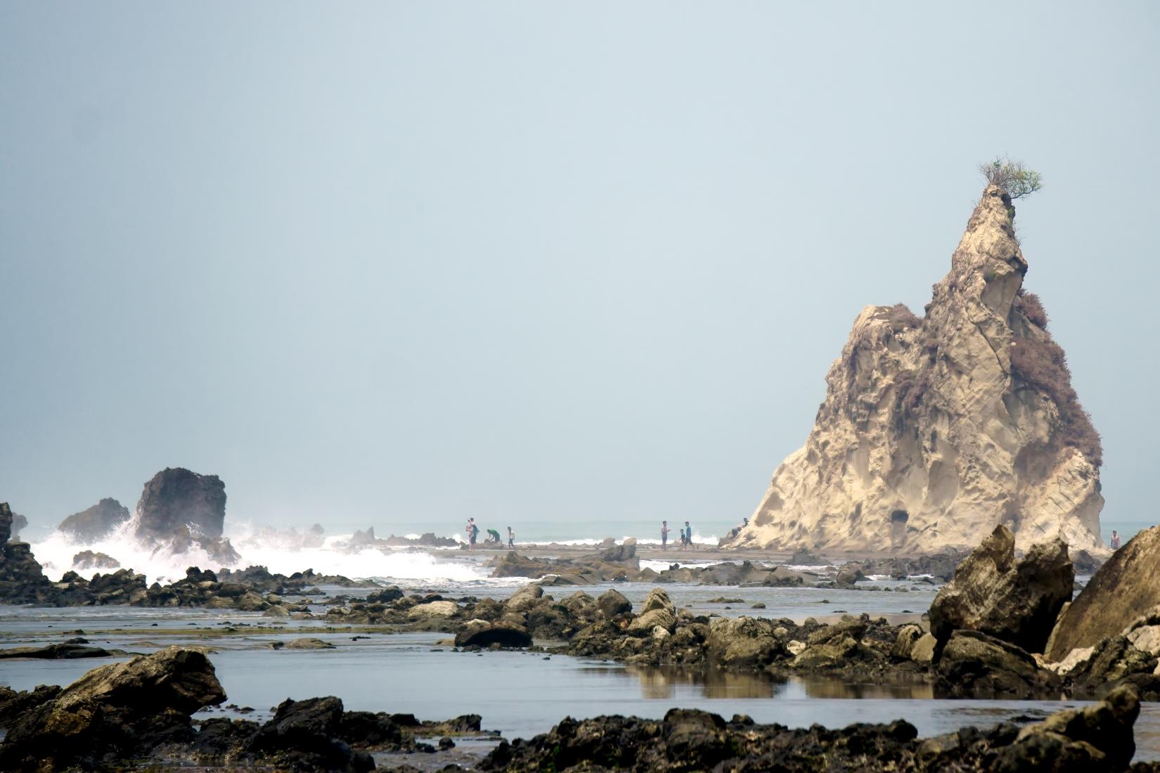 Sandee - Sawarna Beach