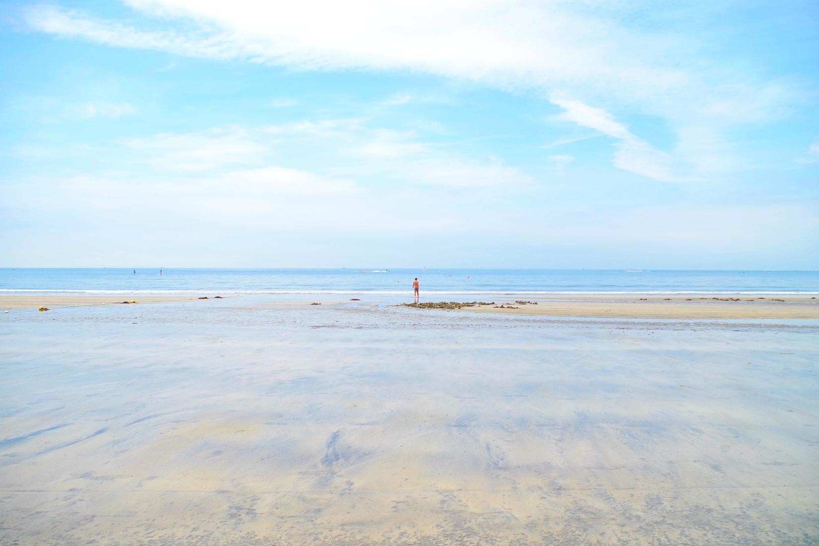 Sandee - Yumigahama Coast