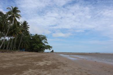 Sandee Batu Lamampu Beach