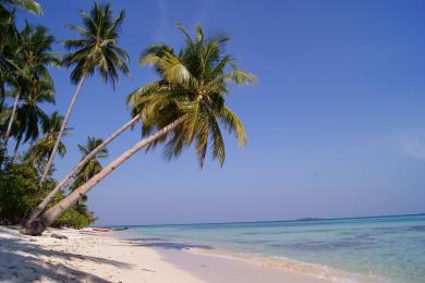 Sandee Pantai Ujung Gelam