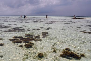 Sandee Pantai Batu Pengantin