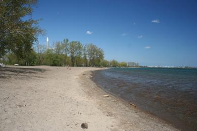 Sandee Cherry Beach