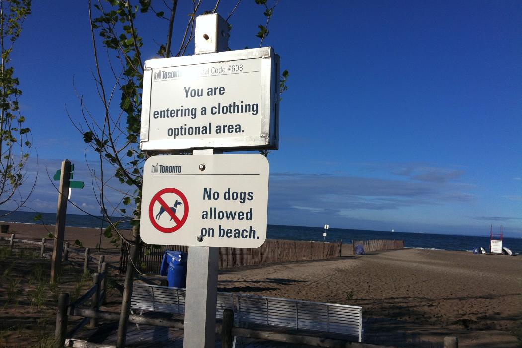 Sandee Hanlan's Point Beach