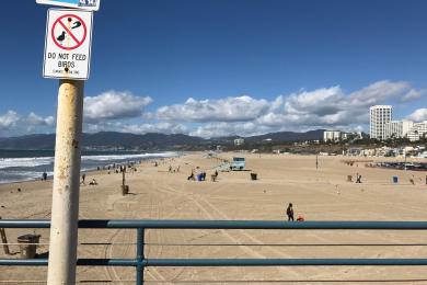 Sandee Praia Santa Monica
