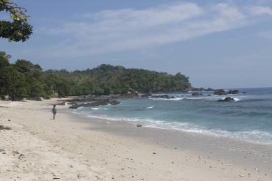 Sandee Pantai Wedi Putih