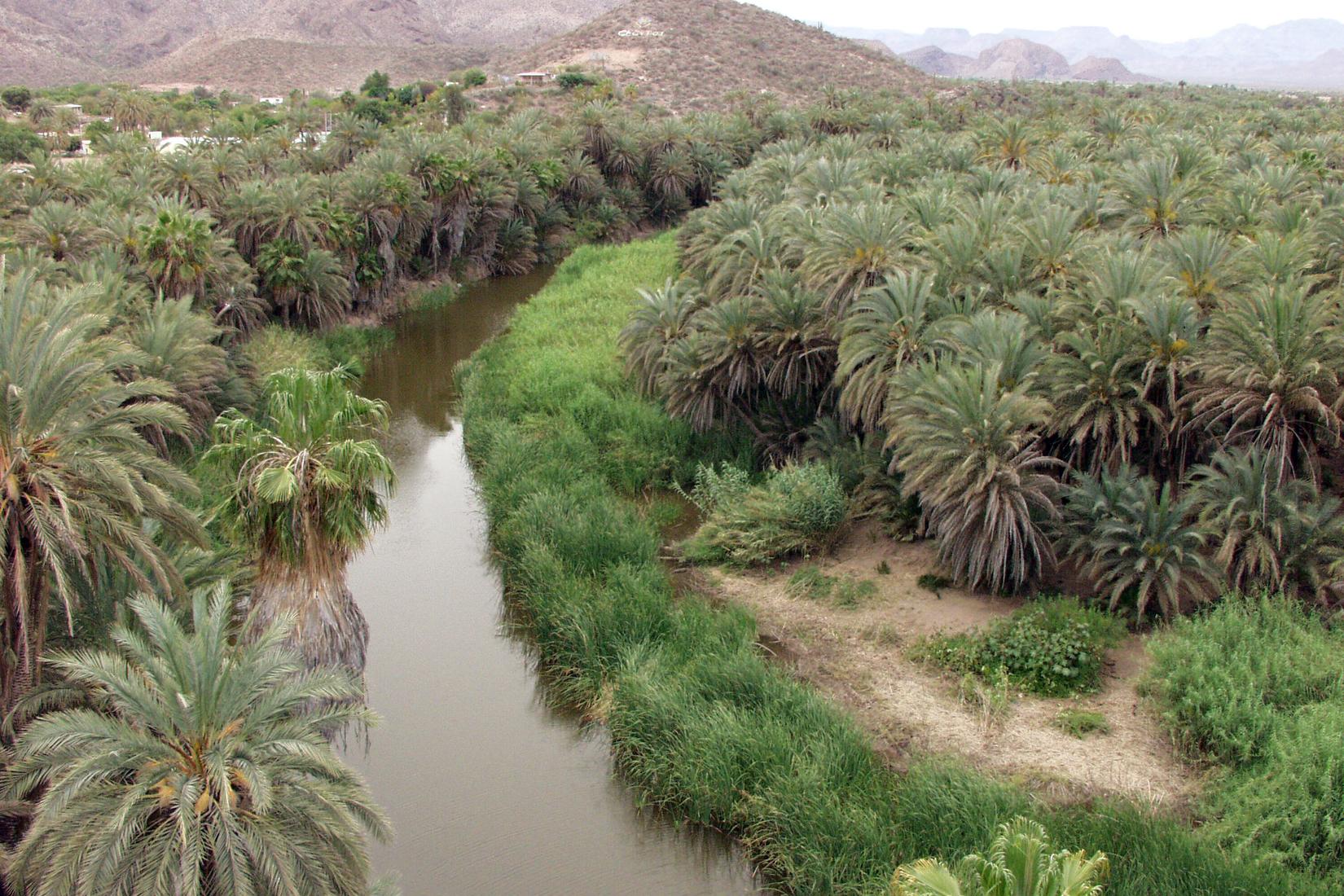 Sandee - Faro De Mulege