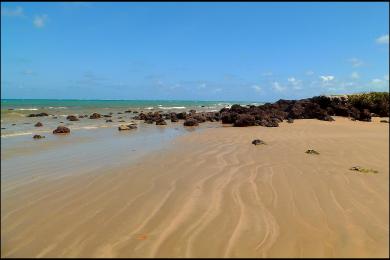 Sandee Praia De Pirangi Photo